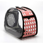 Cute EVA Tool Case  /  Transparent And Breathable Pet Storage Bag